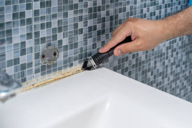 Best Mold Remediation for Specific Building Types in Thomson, GA
