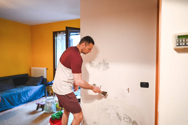 Best Basement Mold Remediation in Thomson, GA